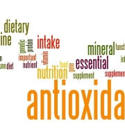 Why Antioxidants Are Important for the Elderly?